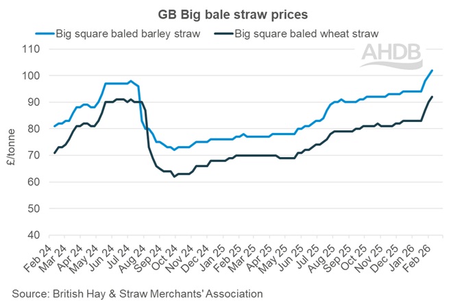 Line graph showing GB big bale straw weekly prices 8 February 2026.